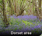 Dorset Photo library images of dorset