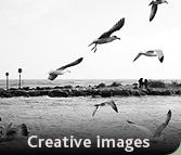 Dorset Photo library creative images